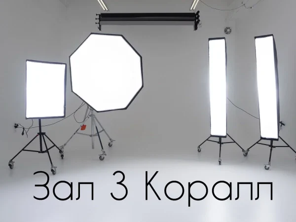 Студия 3 Коралл