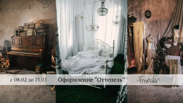 Студия Птички