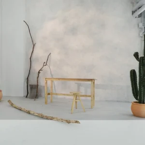 Студия CACTUS
