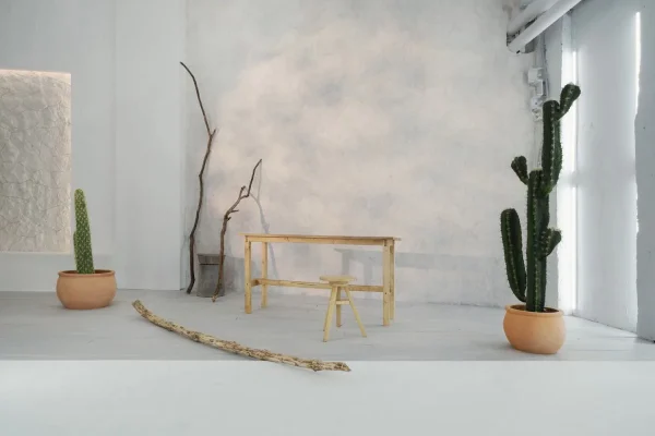 Студия CACTUS
