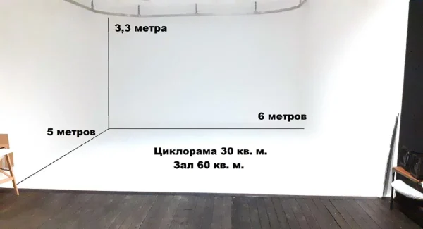 Студия Зебра